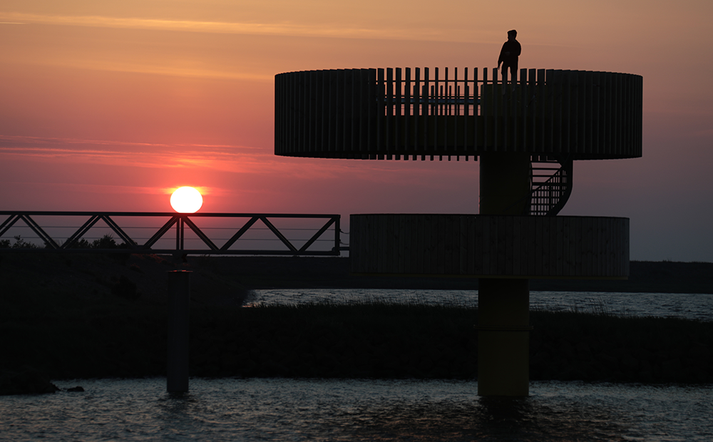 Een eyecatcher in de natuur